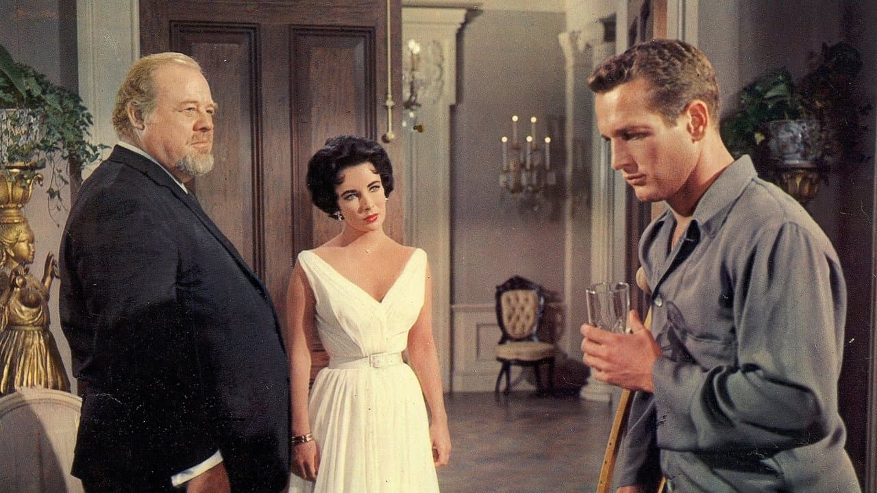 Cat on a Hot Tin Roof still 2