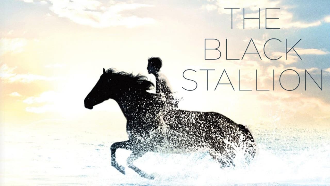 The Black Stallion still 6
