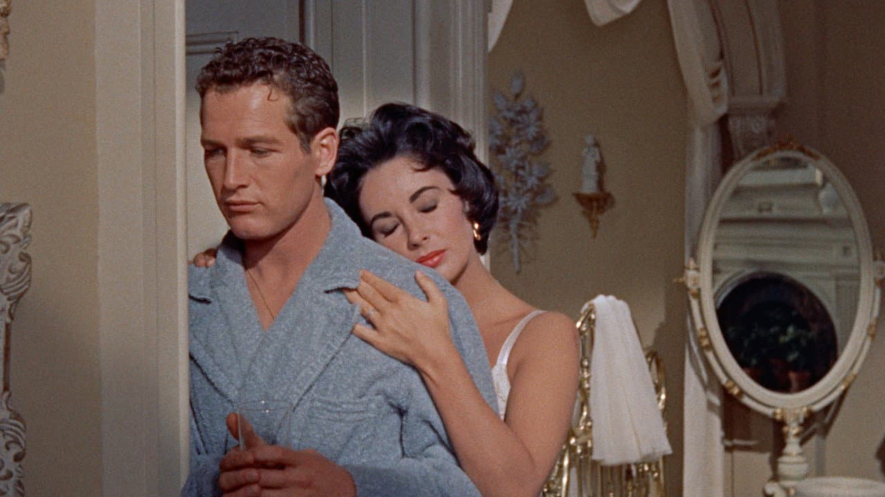 Cat on a Hot Tin Roof still 5