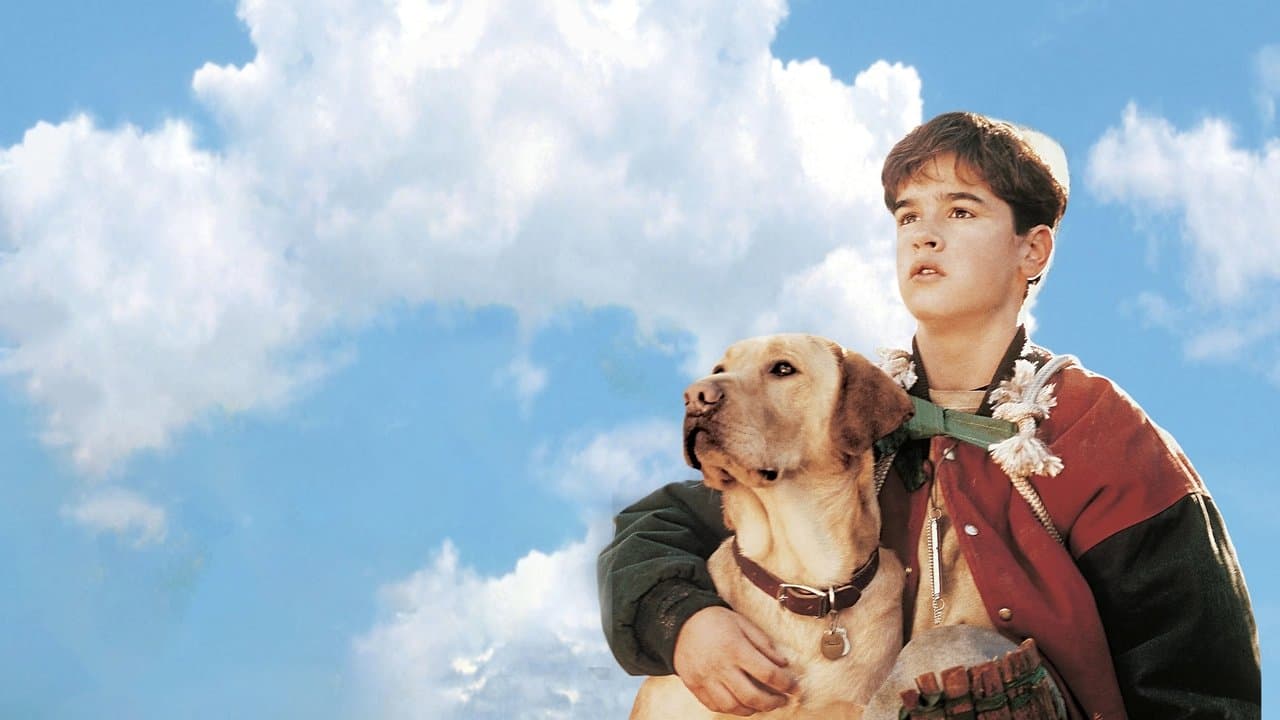 Far from Home: The Adventures of Yellow Dog still 1
