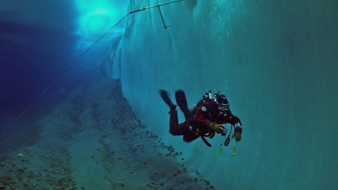 Encounters at the End of the World still 6