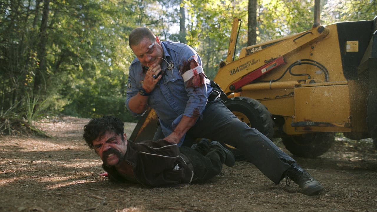 Brothers still 6