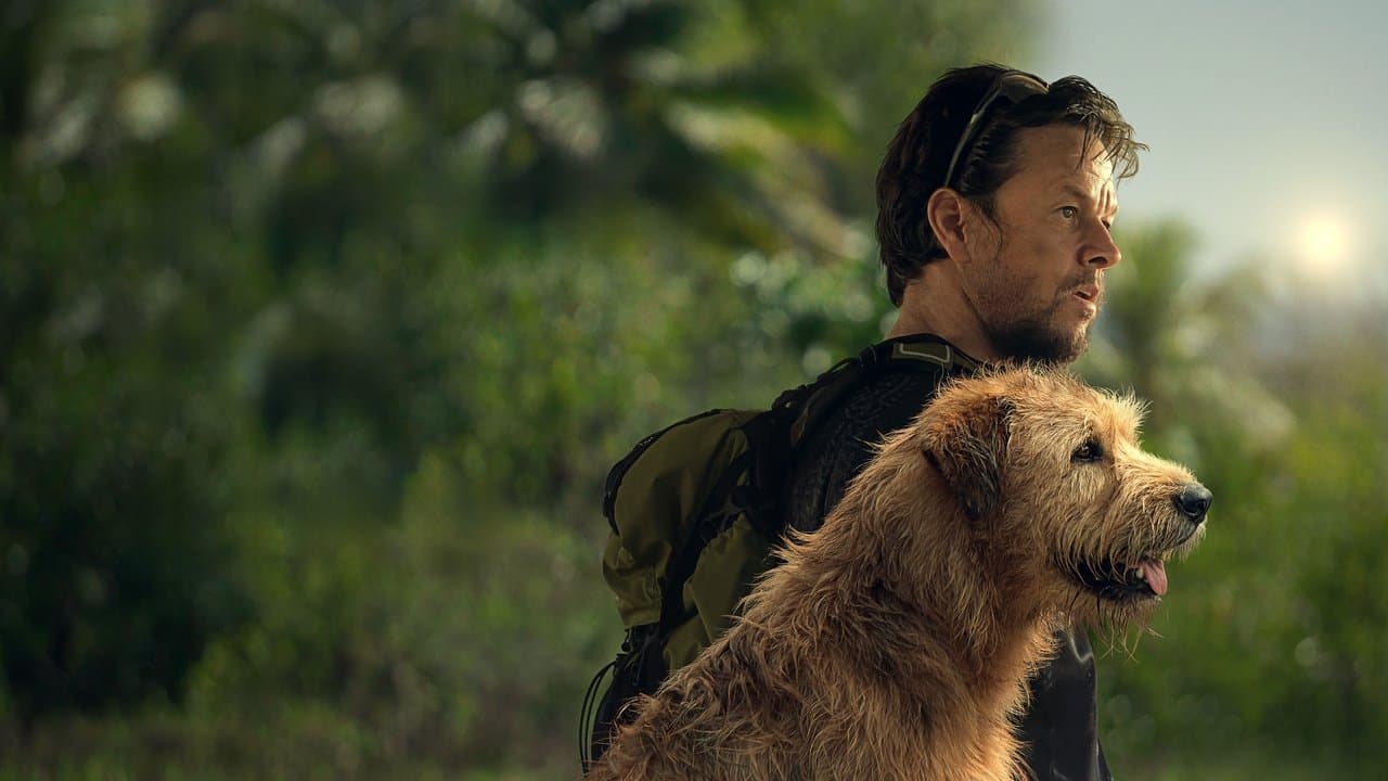 Arthur the King still 1