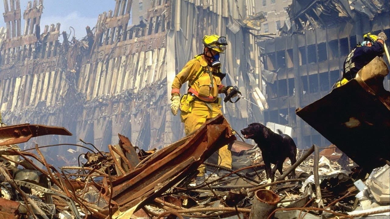 9/11 still 4