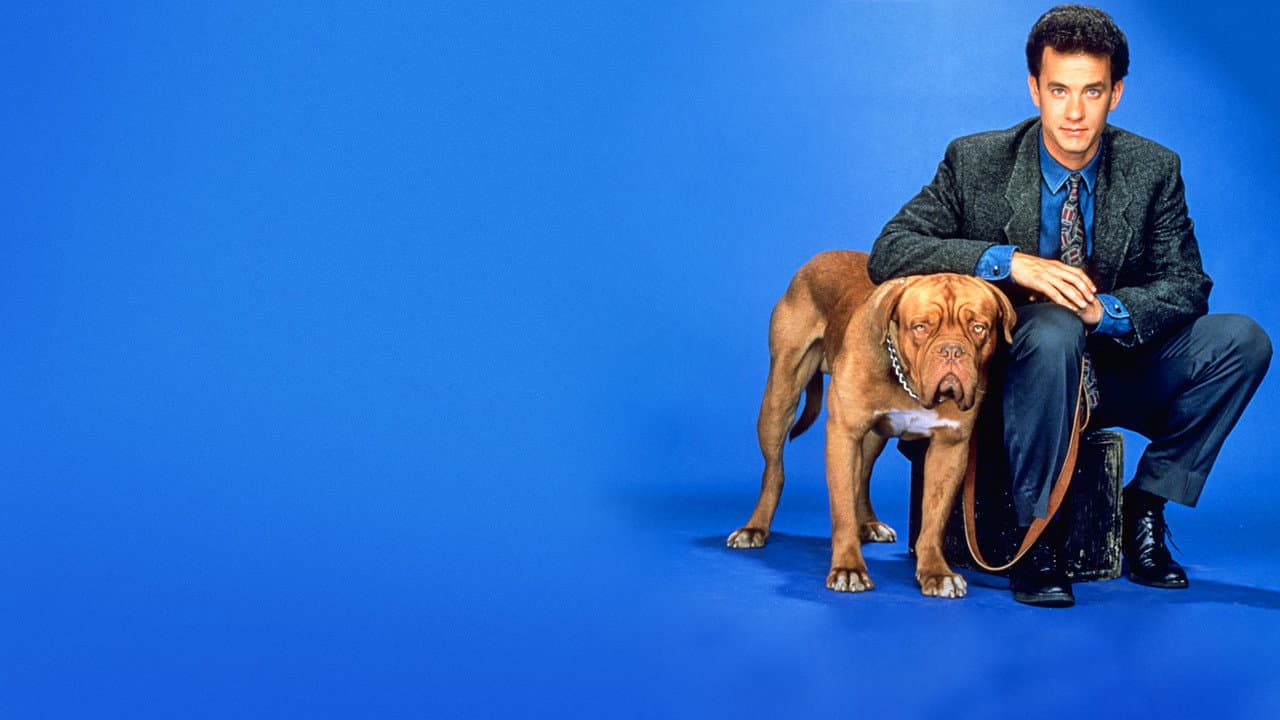 Turner & Hooch still 8