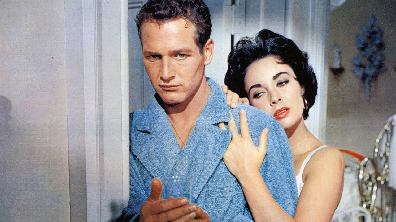 Cat on a Hot Tin Roof still 6