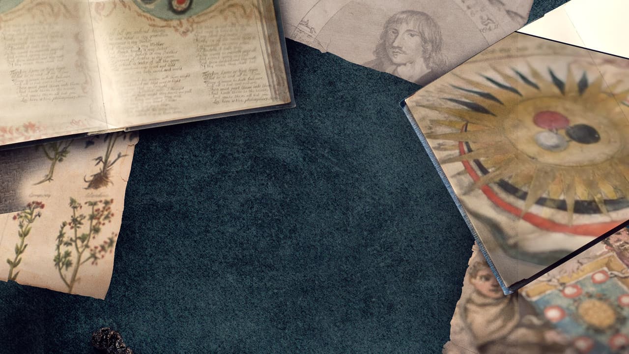 Harry Potter: A History Of Magic still 2