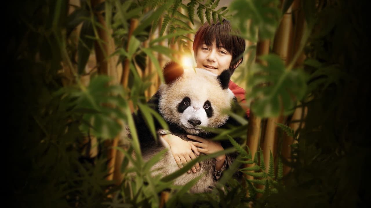 Moon the Panda still 1