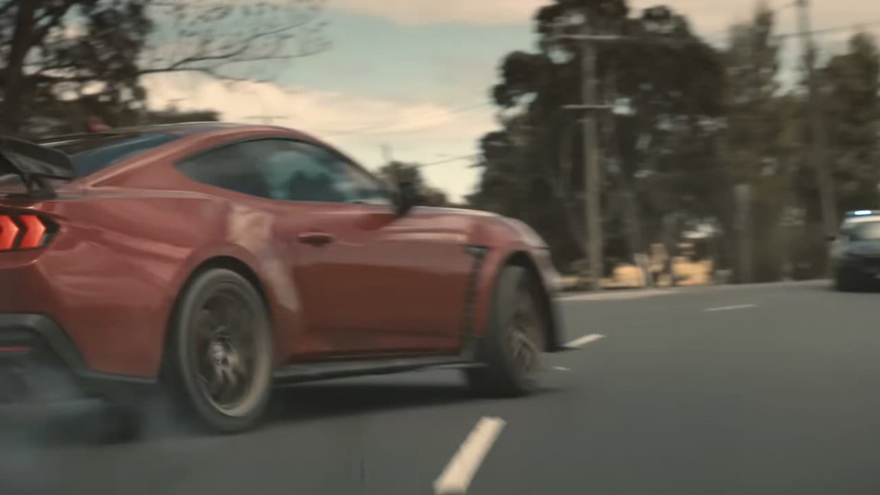 The Mongoose still 4