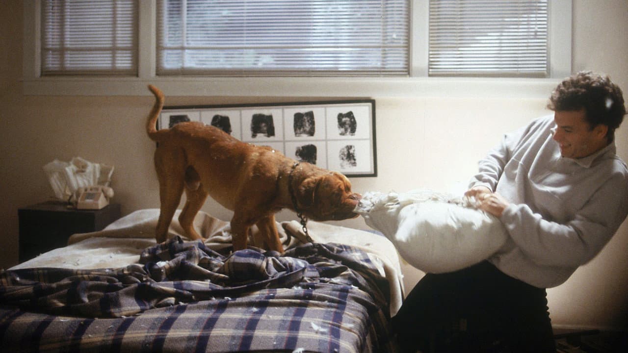 Turner & Hooch still 5