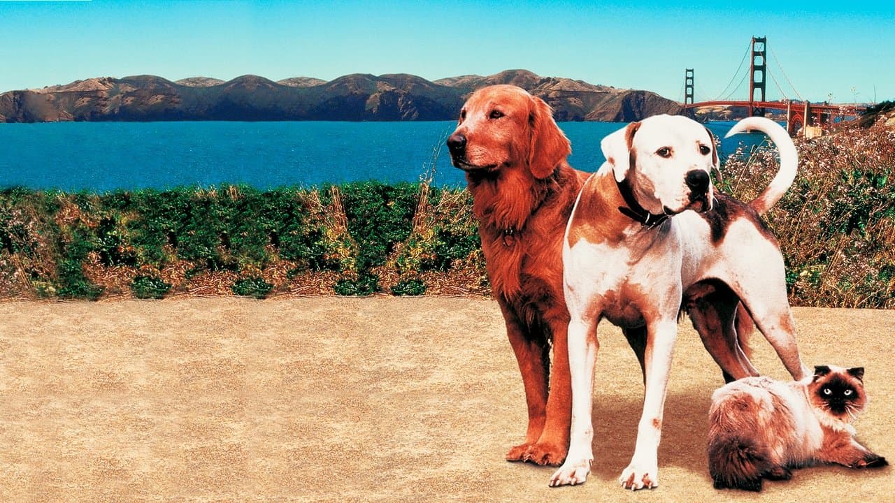 Homeward Bound II: Lost in San Francisco still 1
