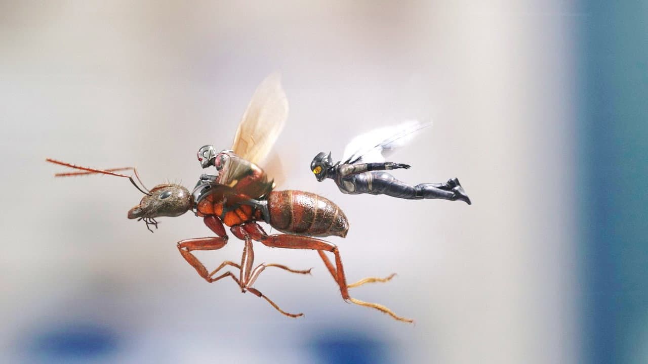 Ant-Man and the Wasp still 7