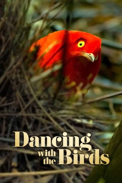 Dancing with the Birds still 4