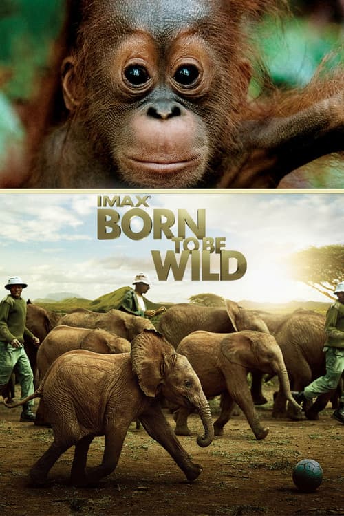 Born to Be Wild still 3