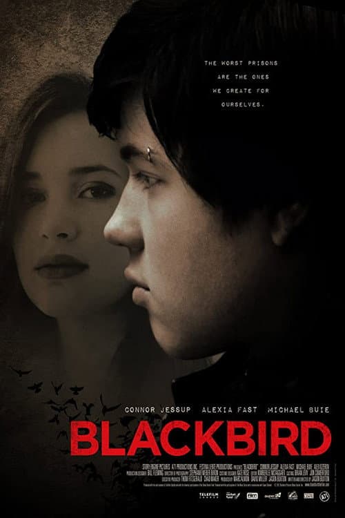 Blackbird still 7