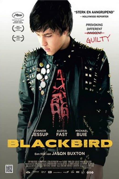 Blackbird still 8