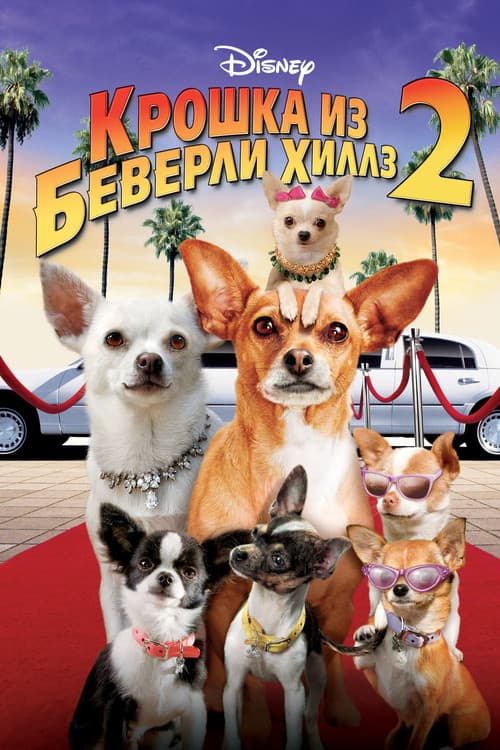 Beverly Hills Chihuahua 2 still 7