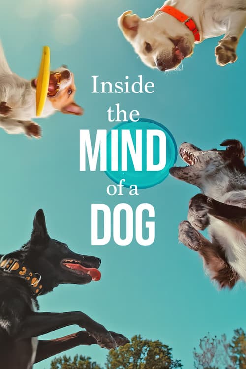 Inside the Mind of a Dog still 5