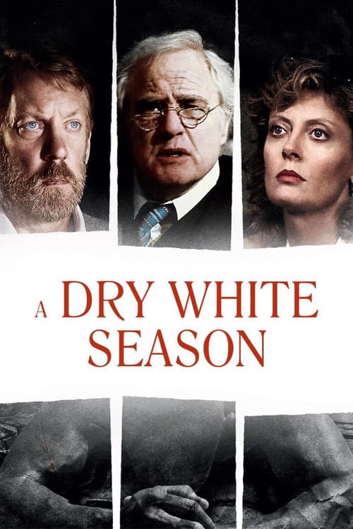 A Dry White Season still 7