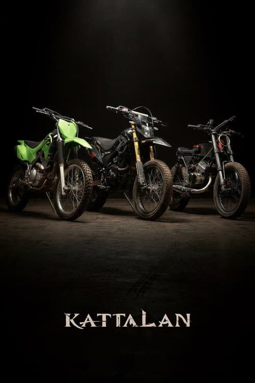 Kattalan still 8