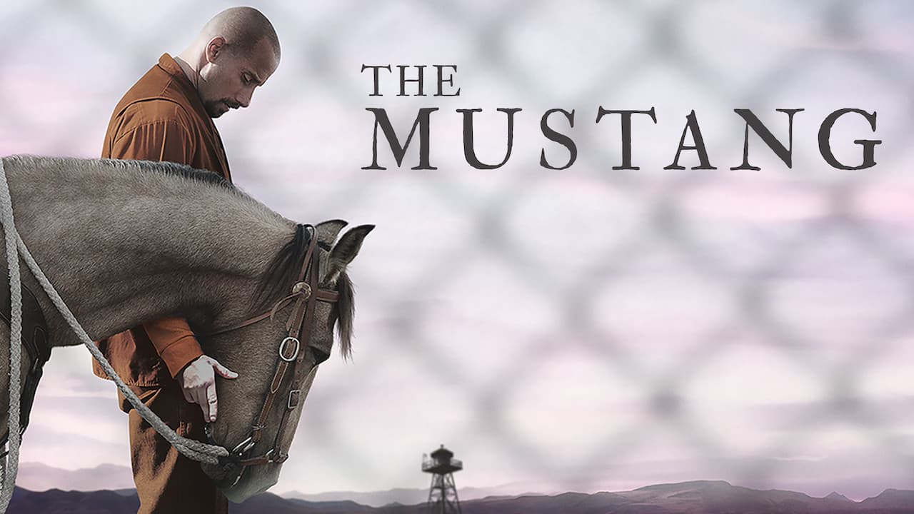 The Mustang still 3