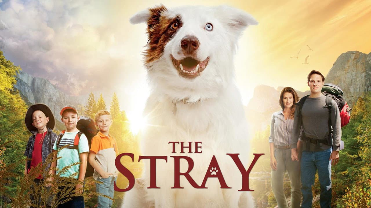 The Stray still 4