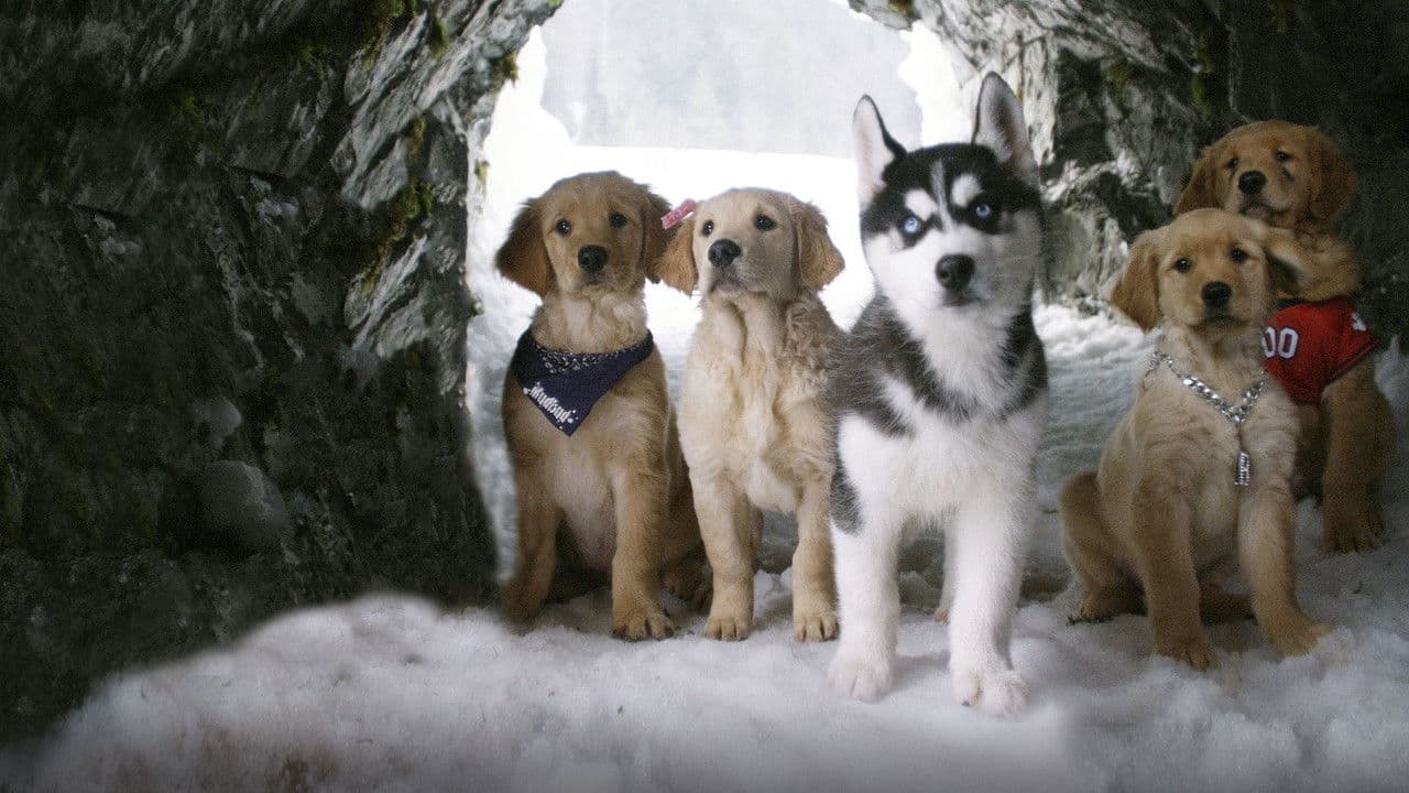 Snow Buddies still 1