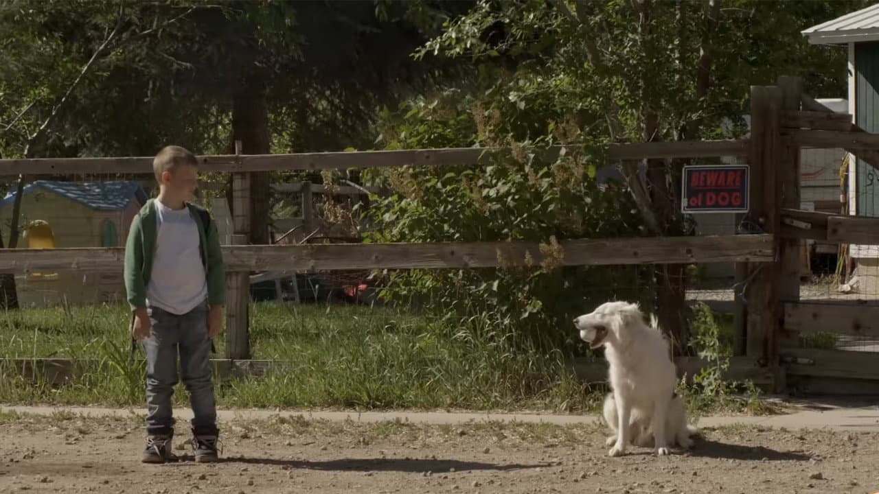 The Stray still 5