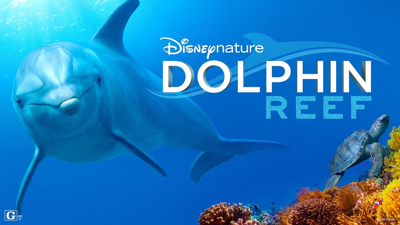 Dolphin Reef still 6