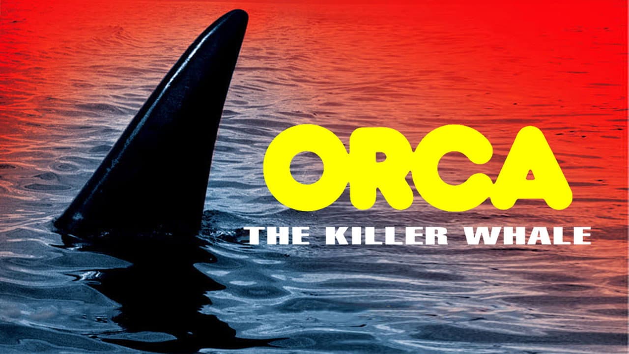 Orca still 4