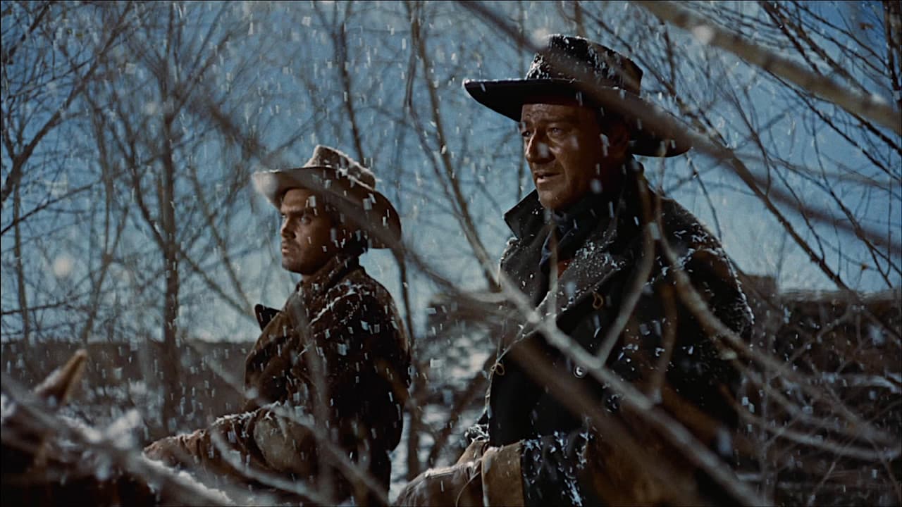 The Searchers still 8