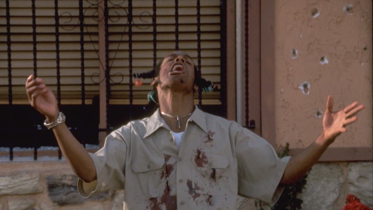 Don't Be a Menace to South Central While Drinking Your Juice in the Hood still 6