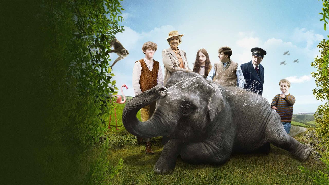 Zoo still 6