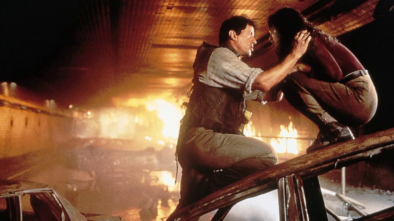 Daylight still 8
