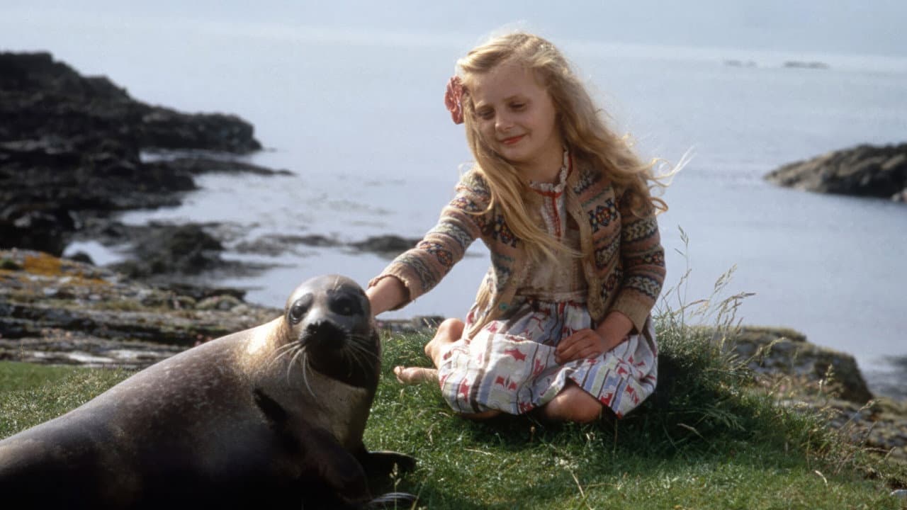 The Secret of Roan Inish still 8