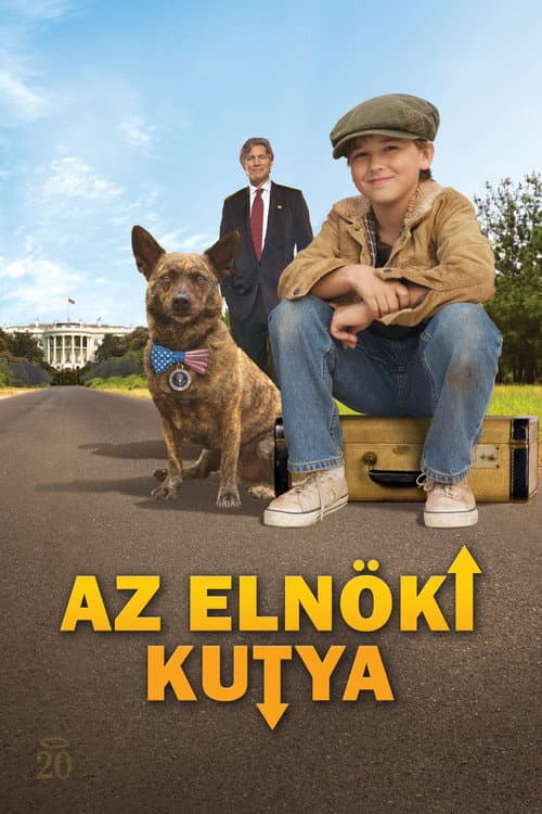 First Dog still 8