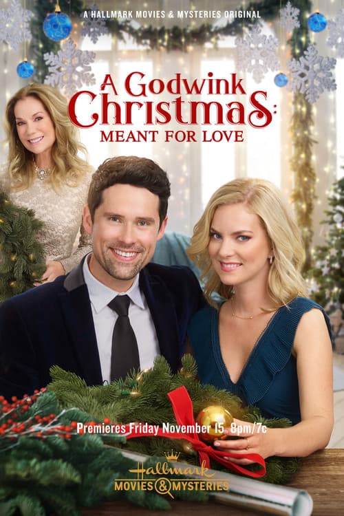 A Godwink Christmas: Meant For Love still 6